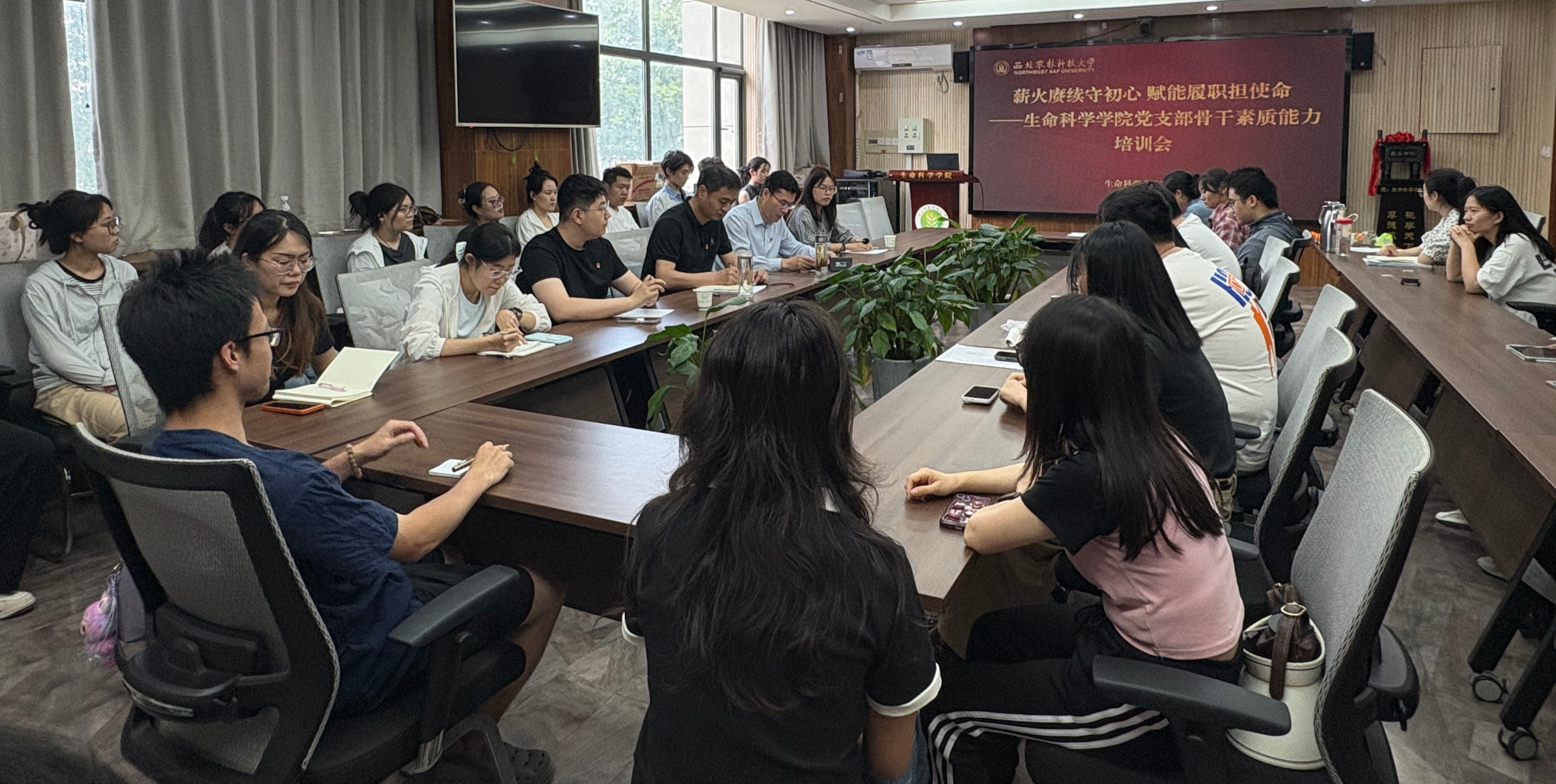 图 (1).JPG