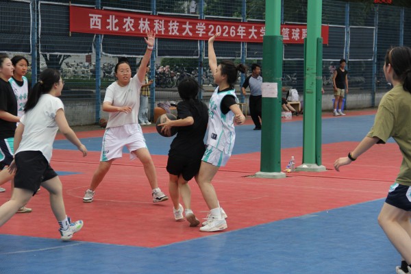 女篮5(1).jpg